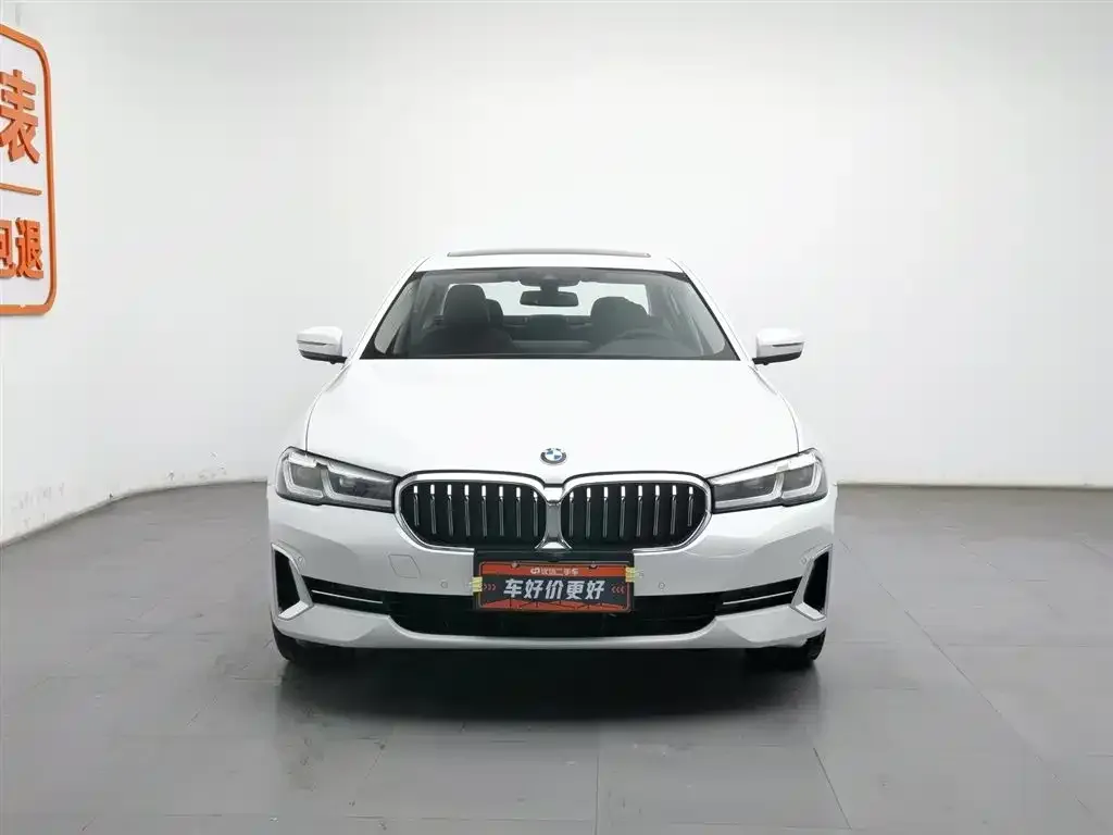 BMW 5 Series 2023 из CN, фото 3
