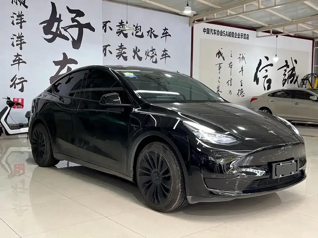 Tesla Model Y 2022 из CN, фото 3