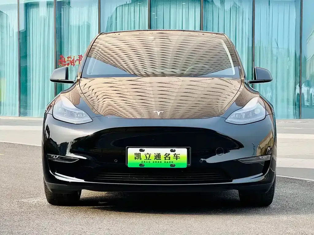 Tesla Model Y — фото 2