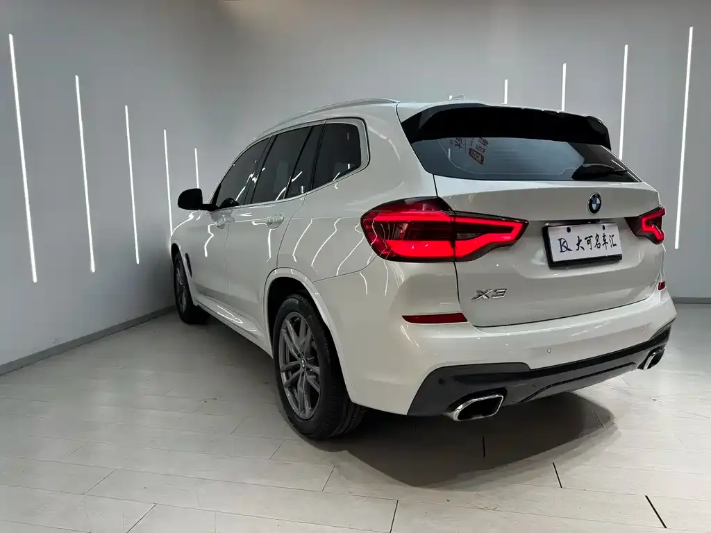 BMW X3 2021 из CN, фото 9