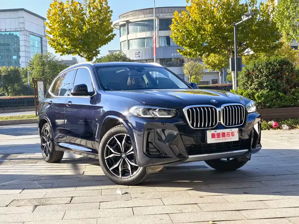 BMW X3 2022 из CN, фото 3