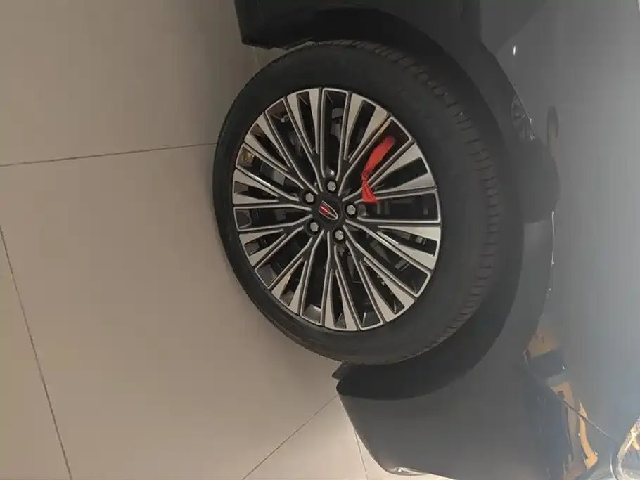 Hongqi H9 2024 из CN, фото 6