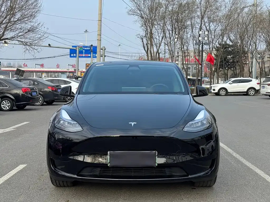 Tesla Model Y 2024 из CN, фото 2