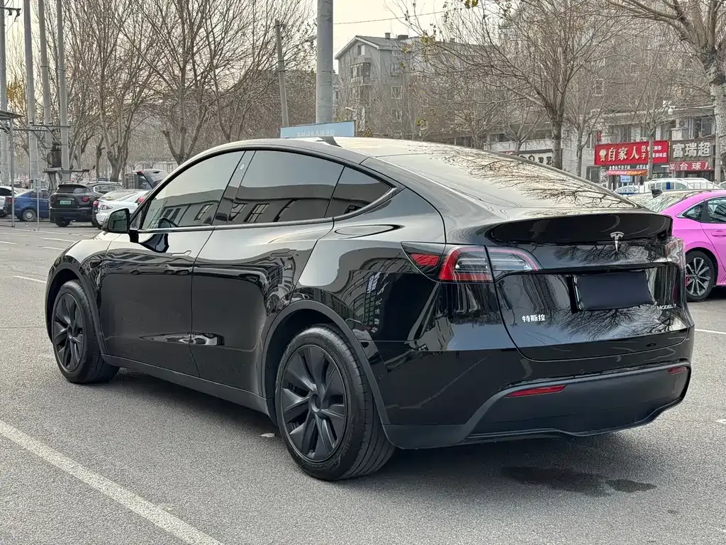 Tesla Model Y 2024 из CN, фото 6