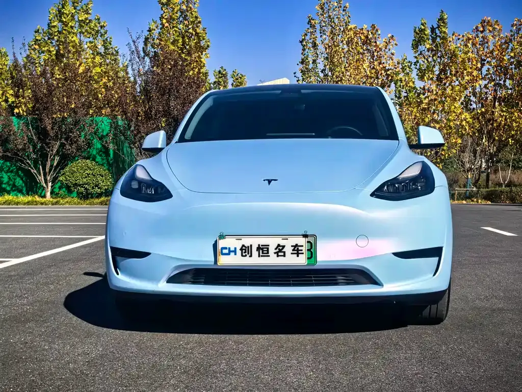 Tesla Model Y 2024 из CN, фото 2