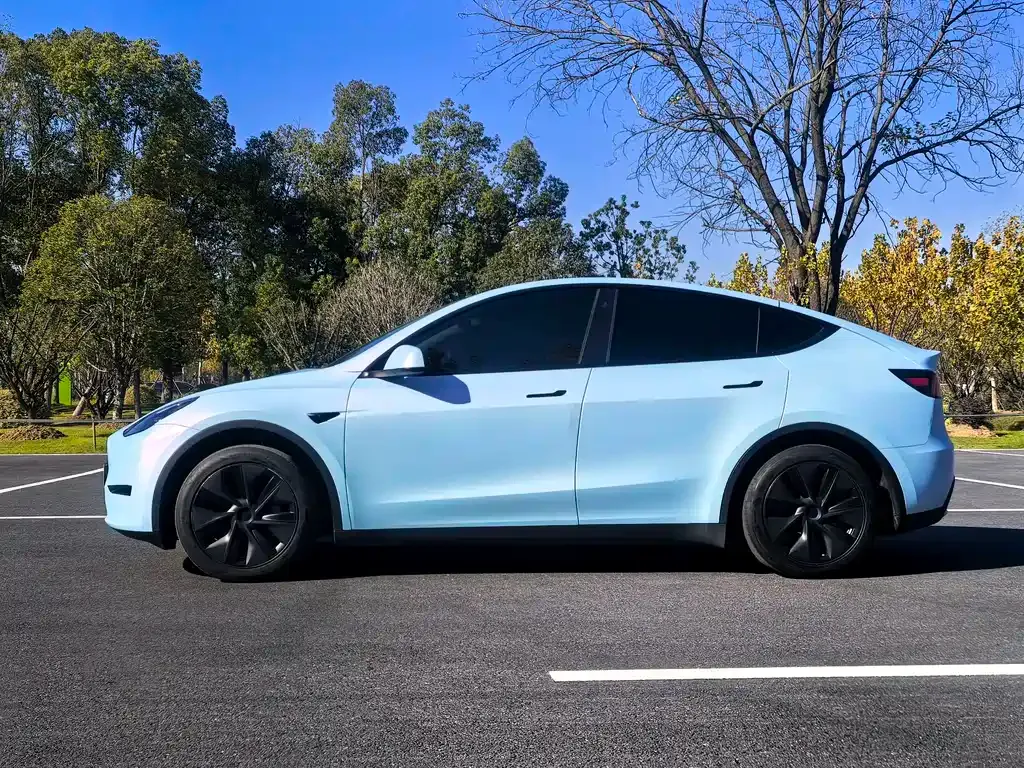 Tesla Model Y 2024 из CN, фото 7