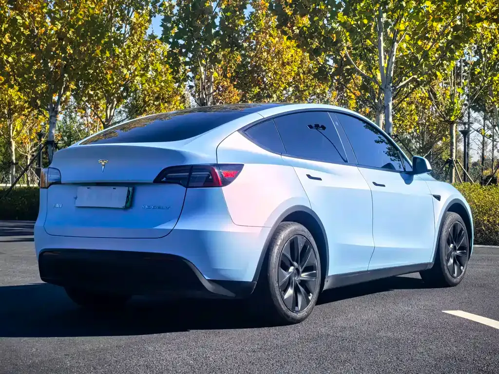 Tesla Model Y 2024 из CN, фото 8