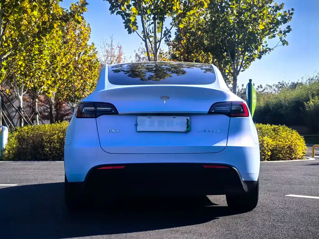 Tesla Model Y 2024 из CN, фото 9