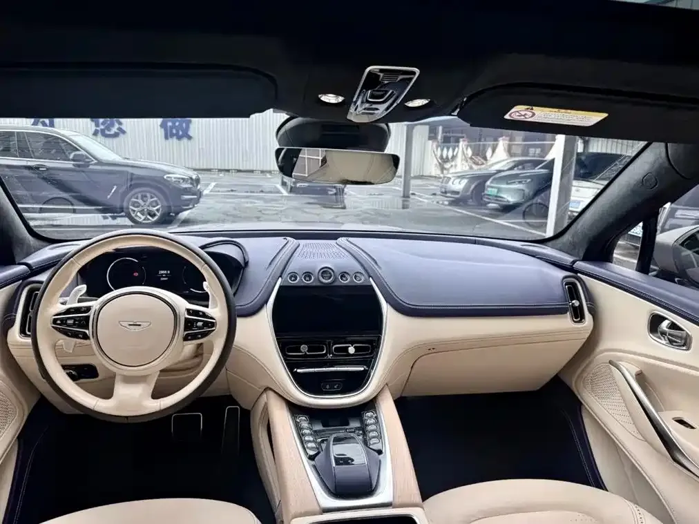 Aston Martin DBX 2021 из CN, фото 10