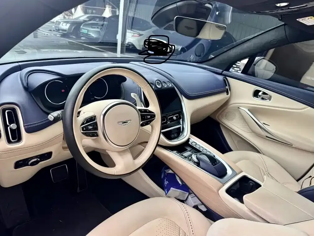 Aston Martin DBX 2021 из CN, фото 9
