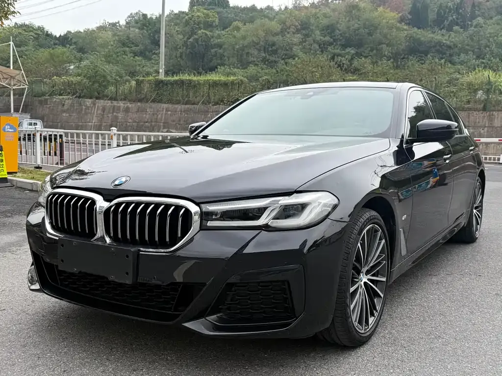 BMW 5 Series 2023 из CN, фото 1