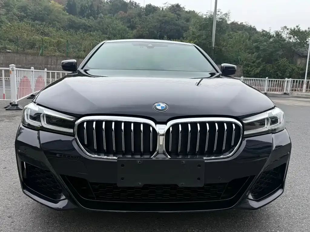 BMW 5 Series 2023 из CN, фото 2