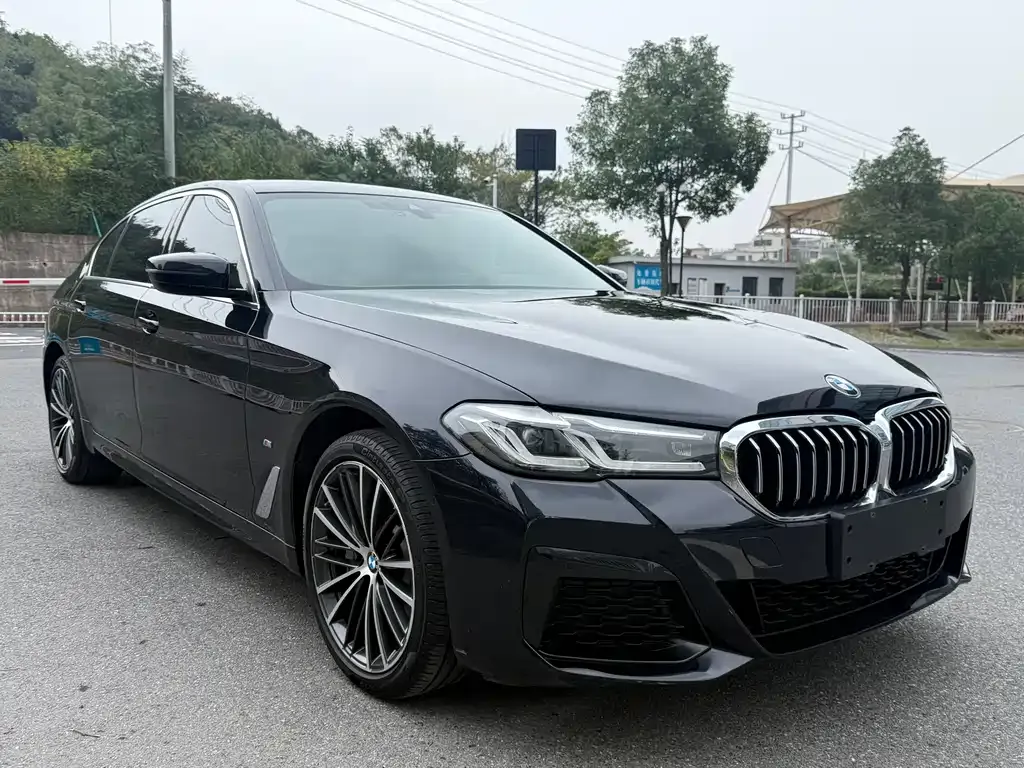BMW 5 Series 2023 из CN, фото 3