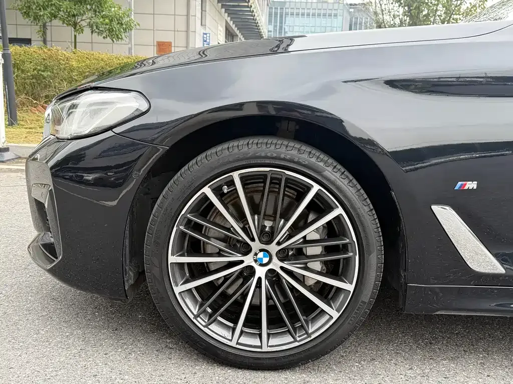 BMW 5 Series 2023 из CN, фото 4