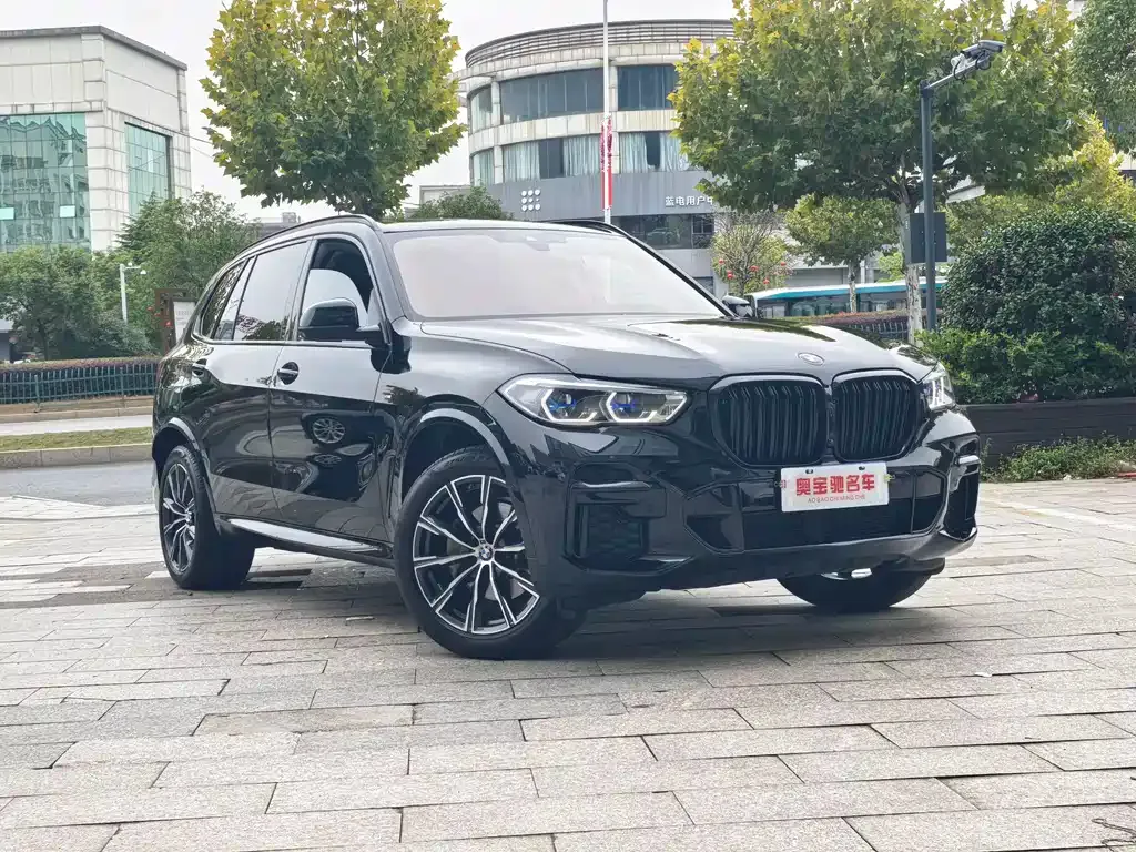 BMW X5 — фото 3