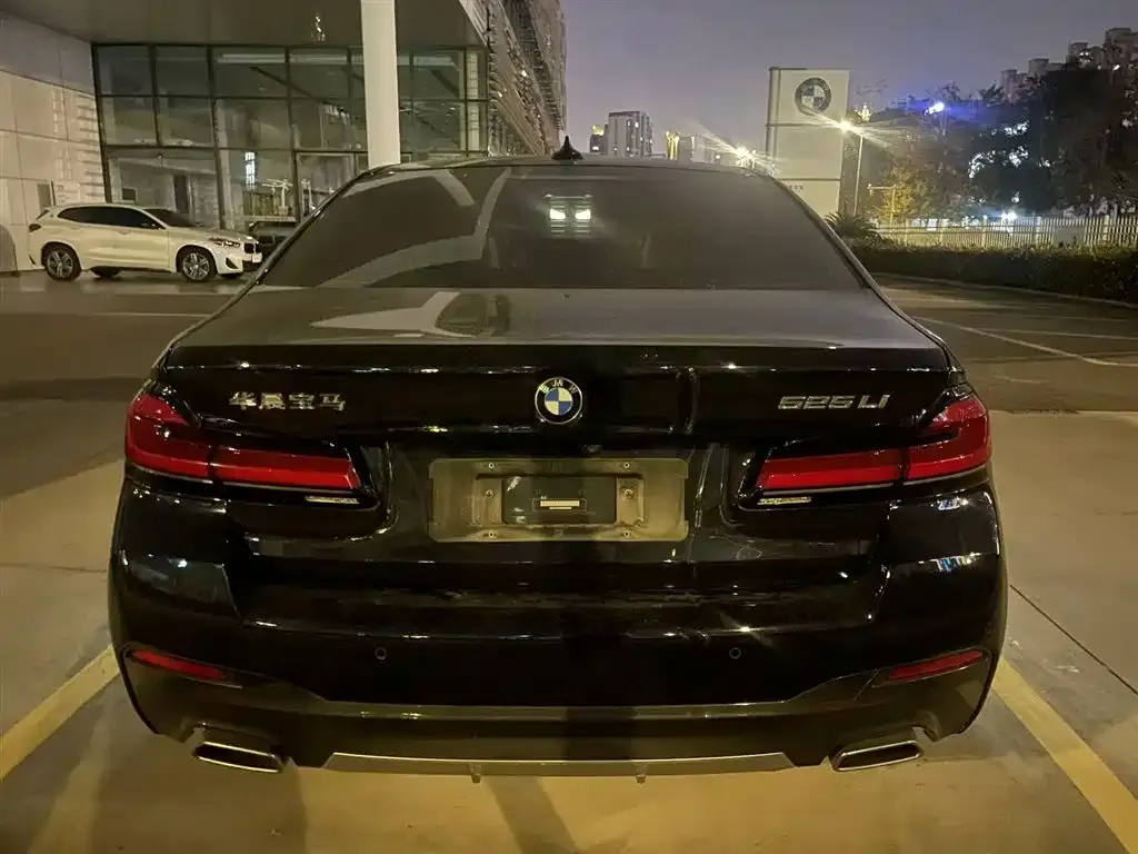 BMW 5 Series 2022 из CN, фото 6