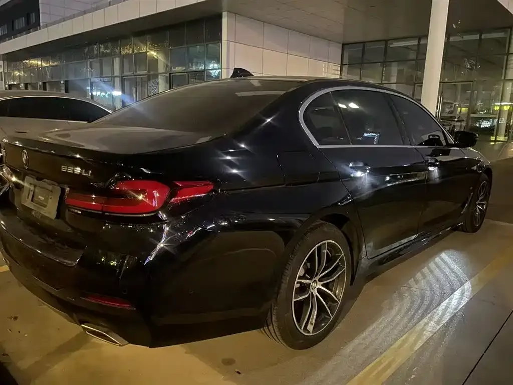 BMW 5 Series 2022 из CN, фото 7
