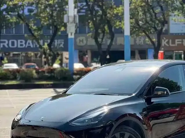 Tesla Model Y — фото 2