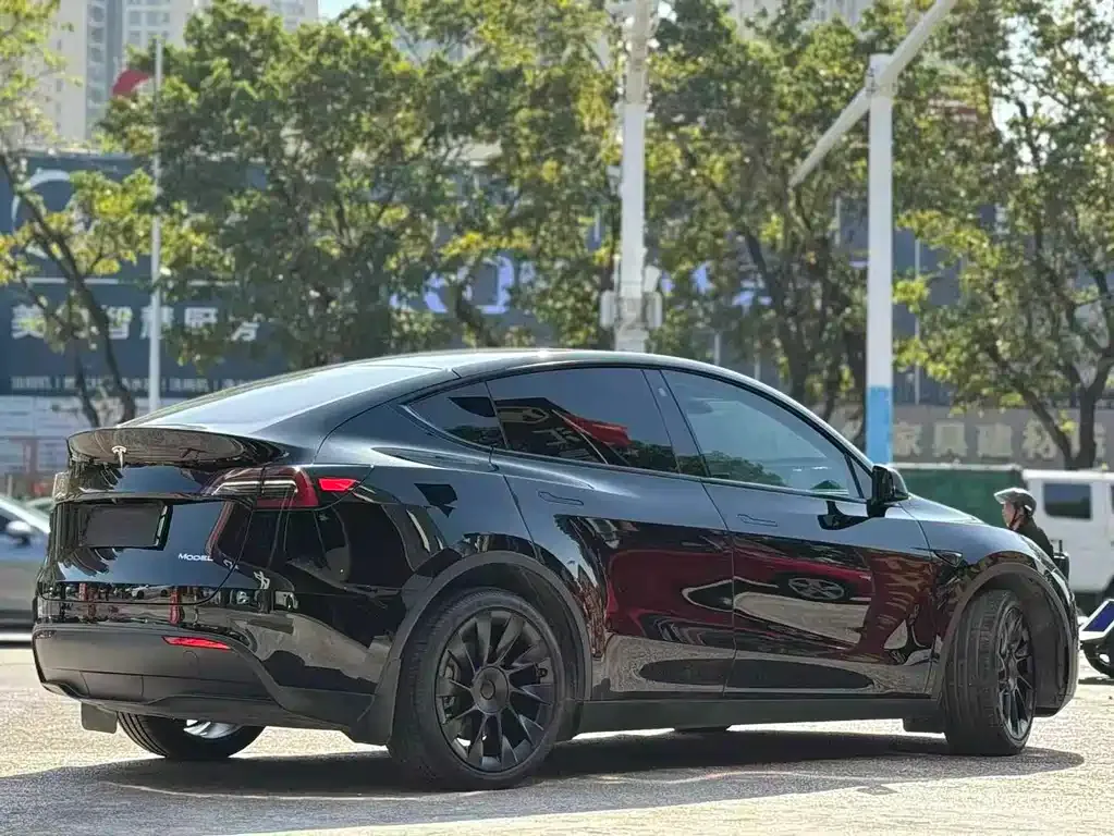 Tesla Model Y — фото 9