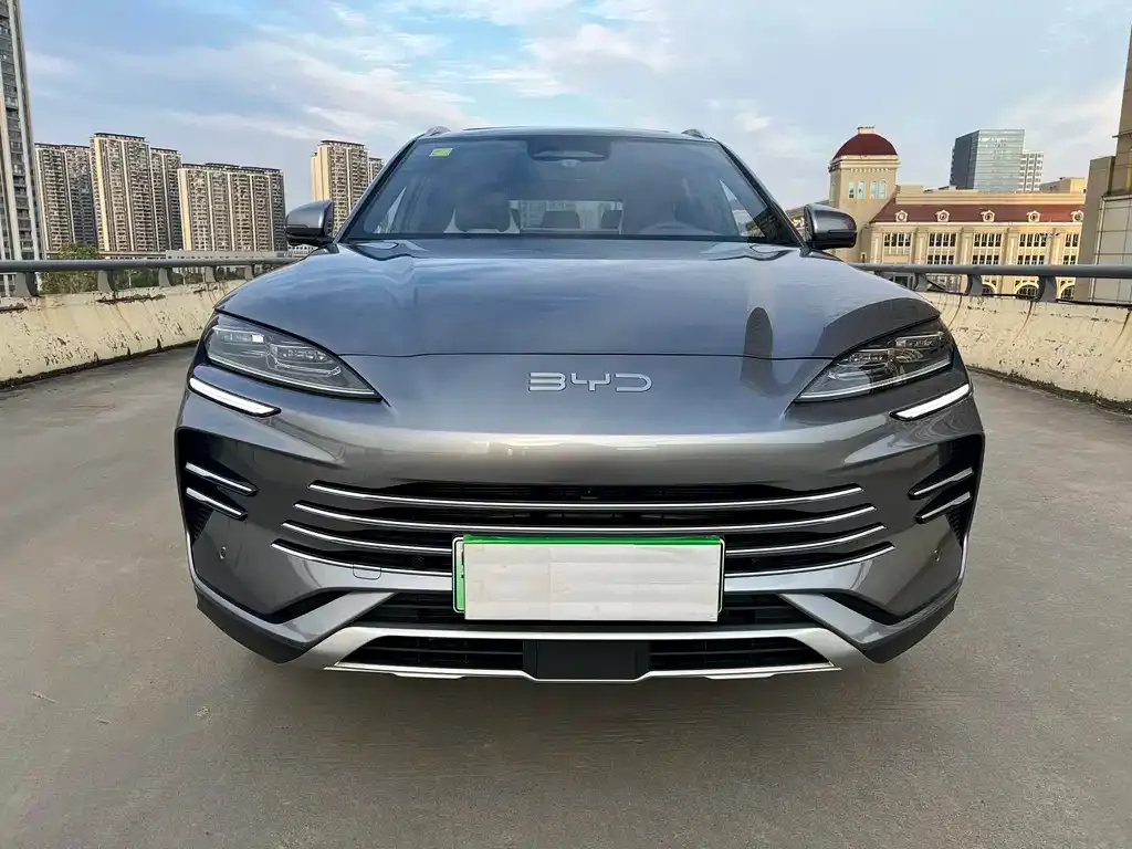 BYD PLUS New Energy 2025 из CN, фото 2