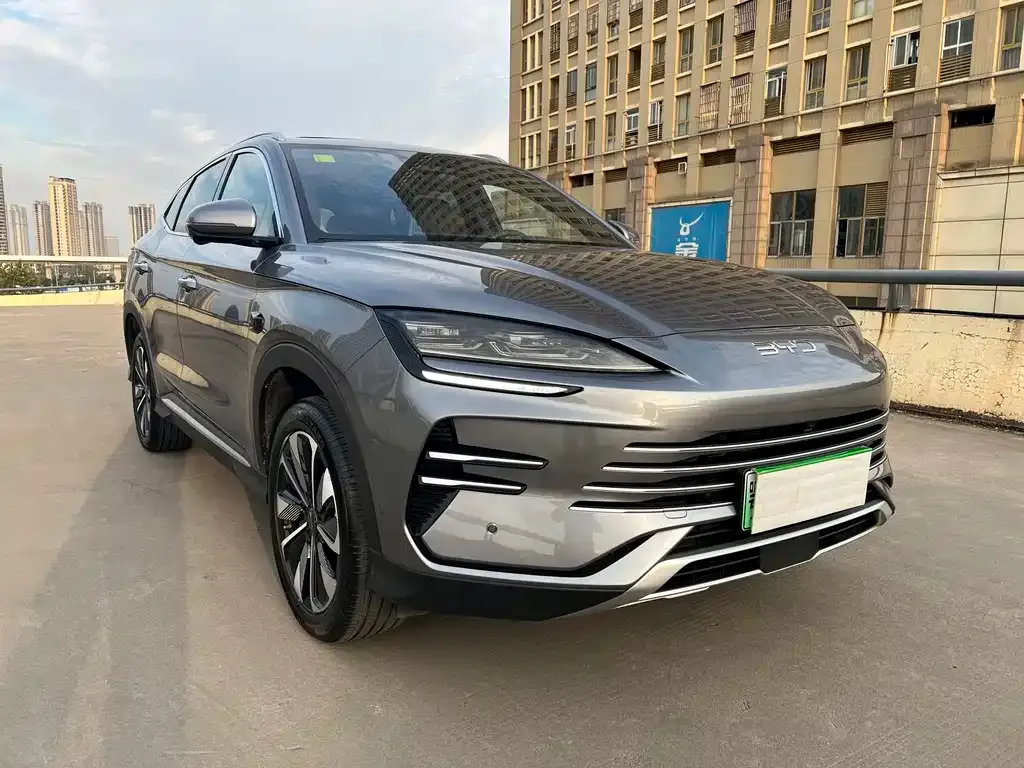 BYD PLUS New Energy 2025 из CN, фото 3