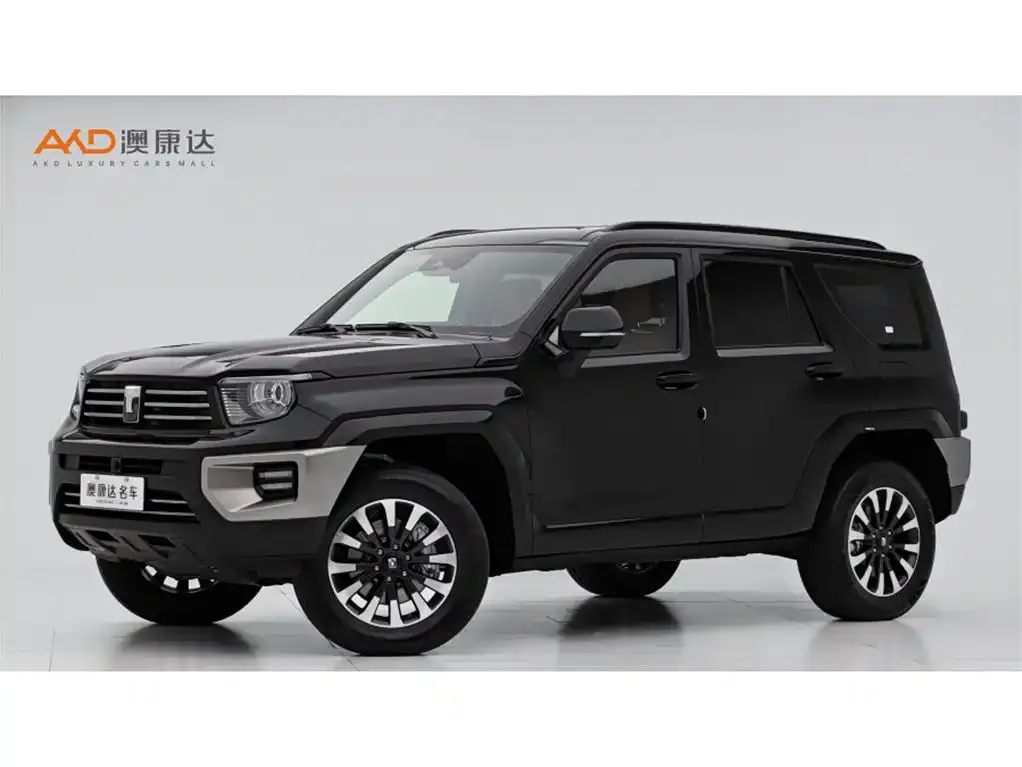 Tank 700 New Energy 2024 из CN, фото 1