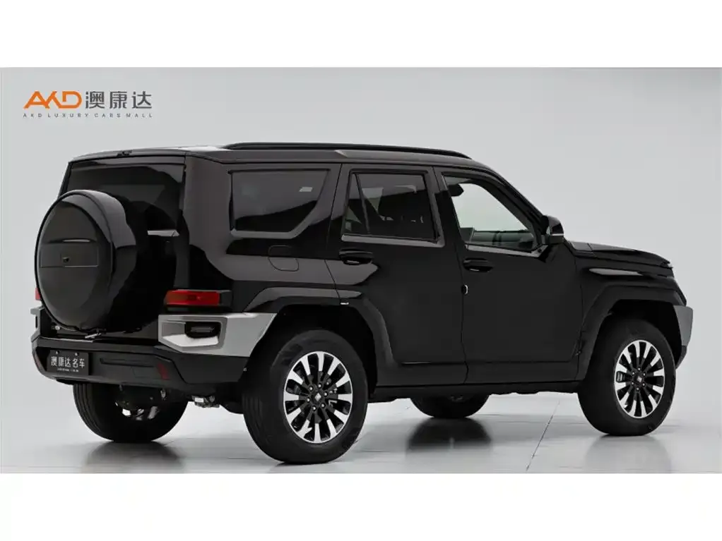 Tank 700 New Energy 2024 из CN, фото 3