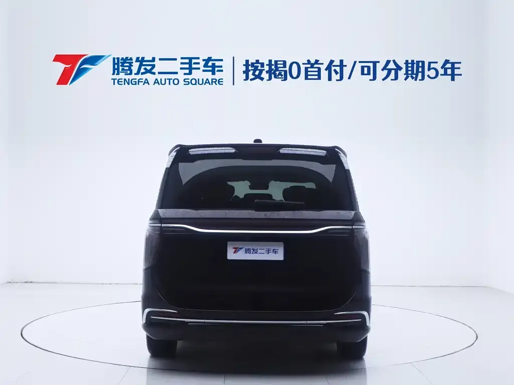 Hongqi HQ9 2023 из CN, фото 4