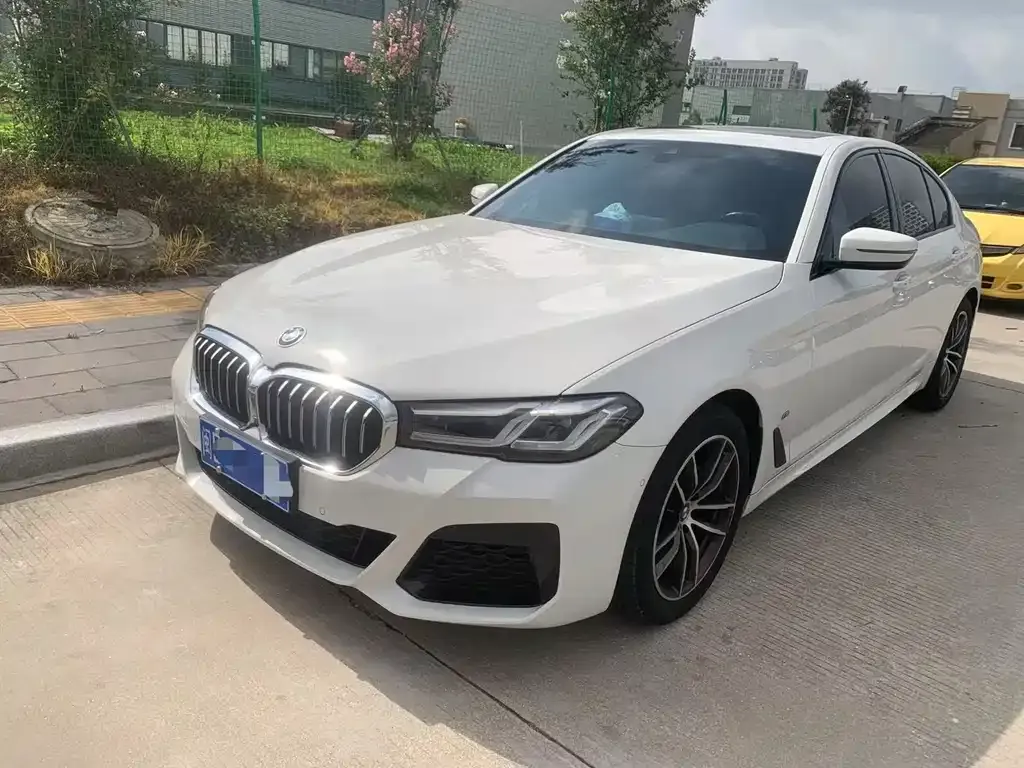 BMW 5 Series (Import) 2023 из CN, фото 1