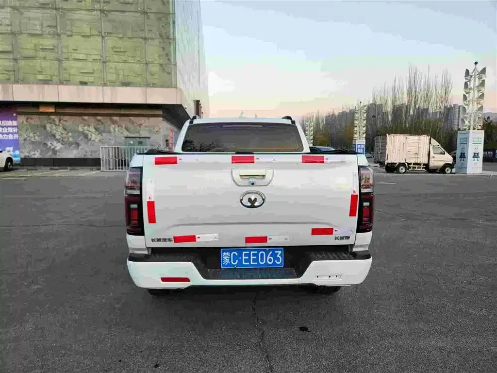 Great Wall Pao 2022 из CN, фото 8