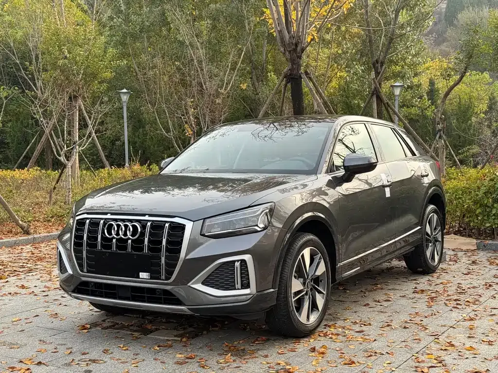 Audi Q2L 2022 из CN, фото 1