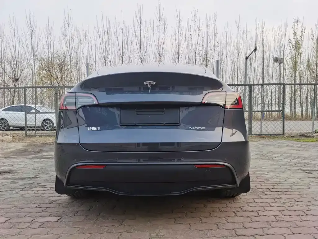 Tesla Model Y 2024 из CN, фото 4