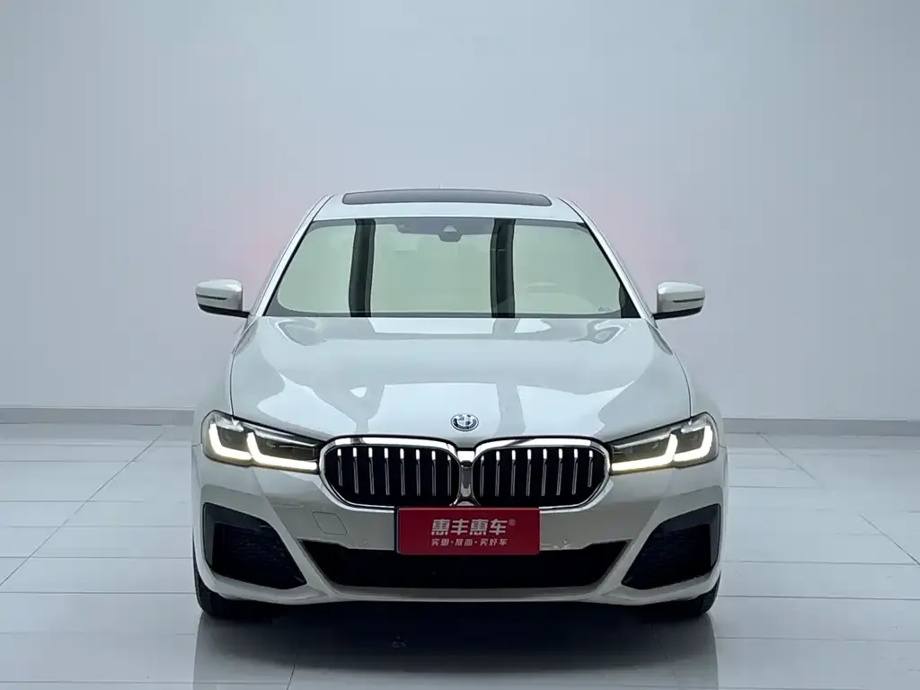 BMW 5 Series 2023 из CN, фото 2