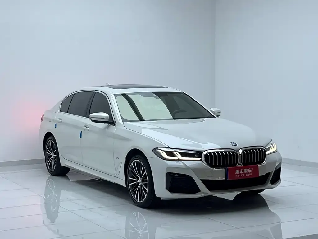 BMW 5 Series 2023 из CN, фото 3