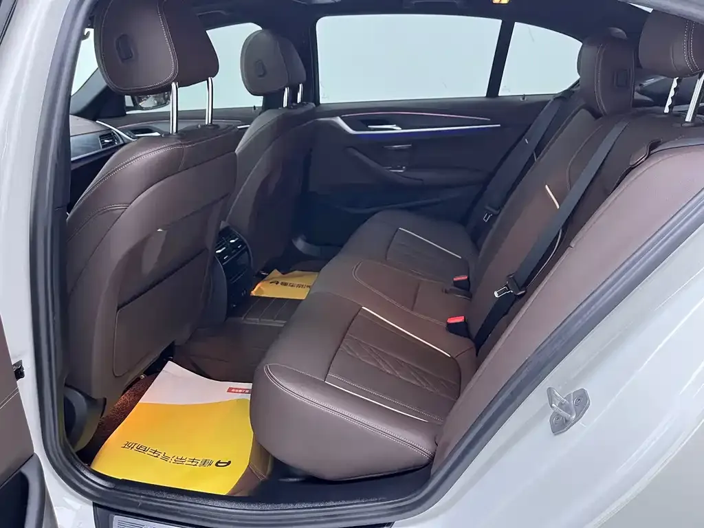 BMW 5 Series 2023 из CN, фото 5