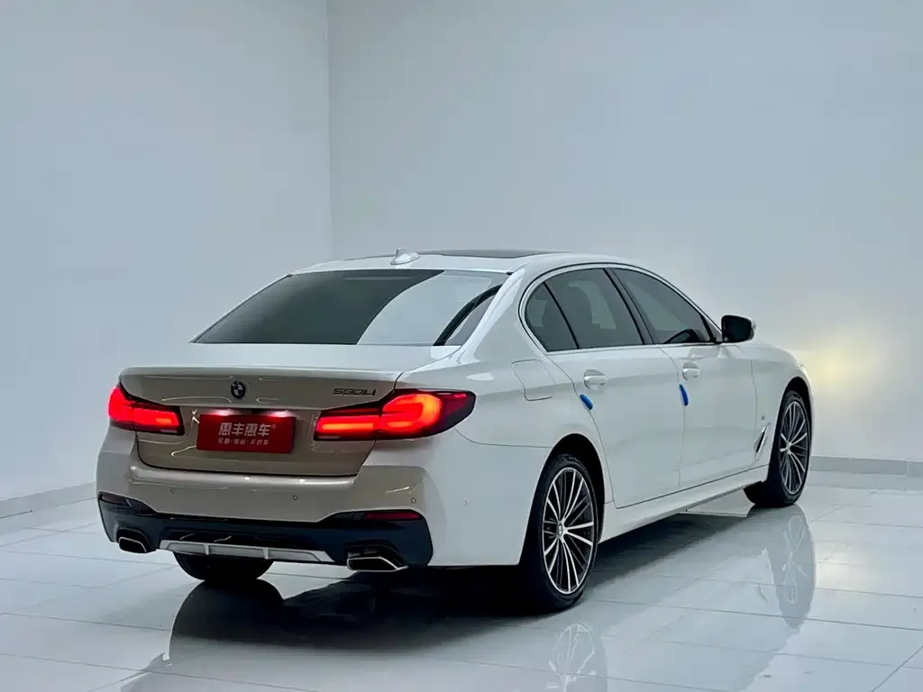BMW 5 Series 2023 из CN, фото 7