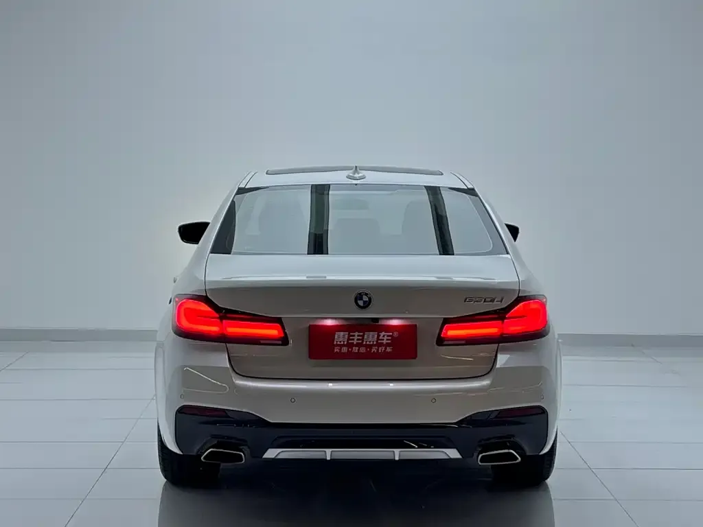 BMW 5 Series 2023 из CN, фото 8
