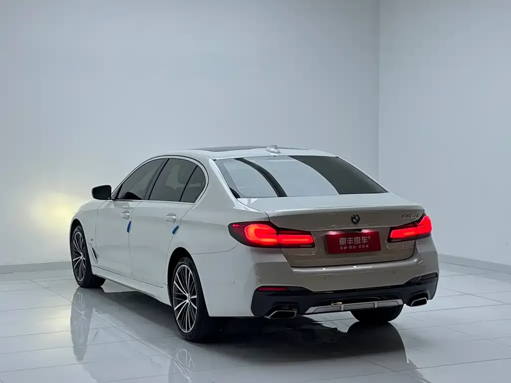BMW 5 Series 2023 из CN, фото 9