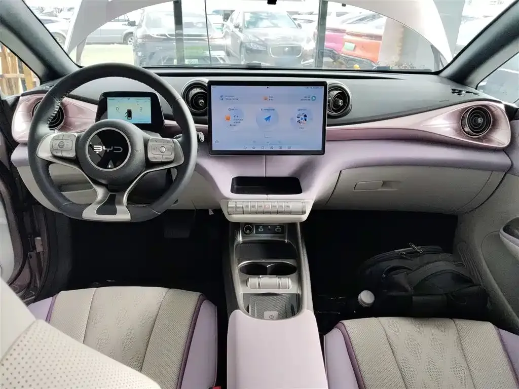 BYD Dolphin 2025 из CN, фото 10