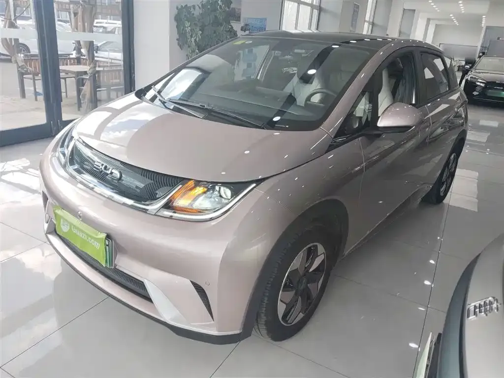 BYD Dolphin 2025 из CN, фото 2