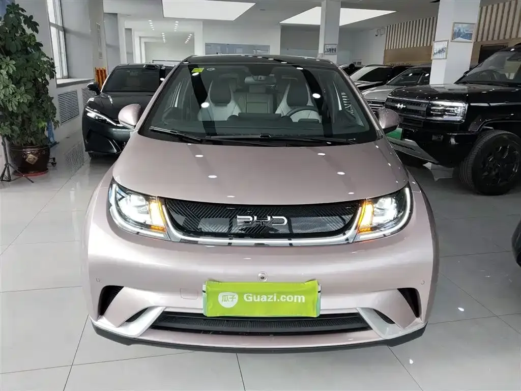 BYD Dolphin 2025 из CN, фото 3