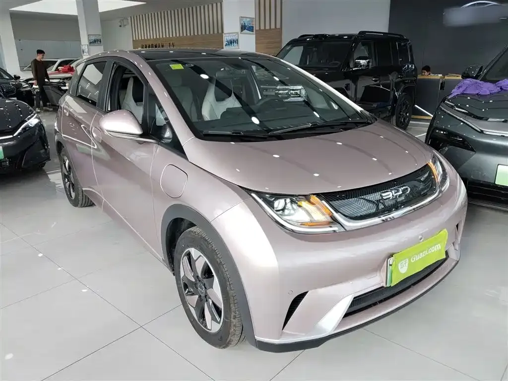 BYD Dolphin 2025 из CN, фото 4