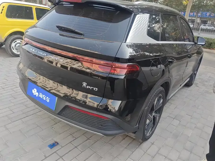 BYD Pro New Energy 2024 из CN, фото 3