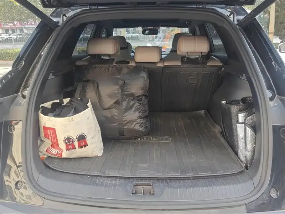 BYD Pro New Energy 2024 из CN, фото 4