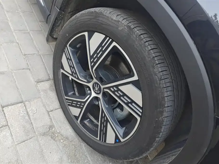 BYD Pro New Energy 2024 из CN, фото 6