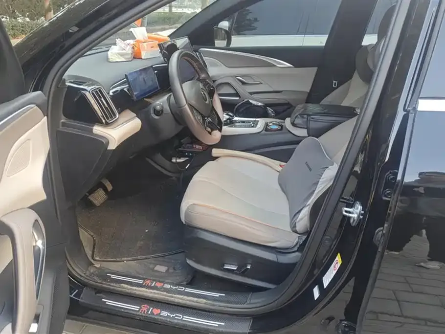 BYD Pro New Energy 2024 из CN, фото 9