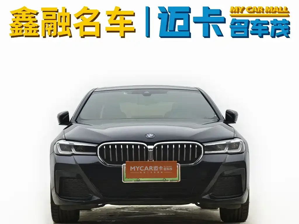 BMW 5 Series New Energy 2023 из CN, фото 3