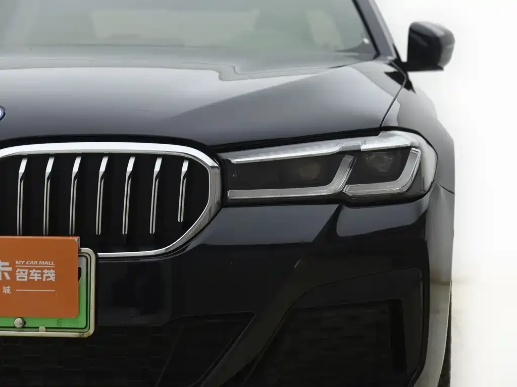 BMW 5 Series New Energy 2023 из CN, фото 4