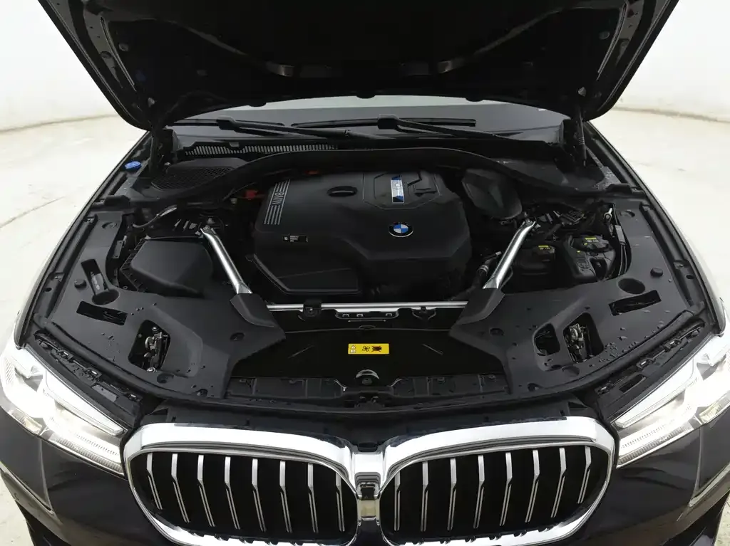 BMW 5 Series New Energy 2023 из CN, фото 9