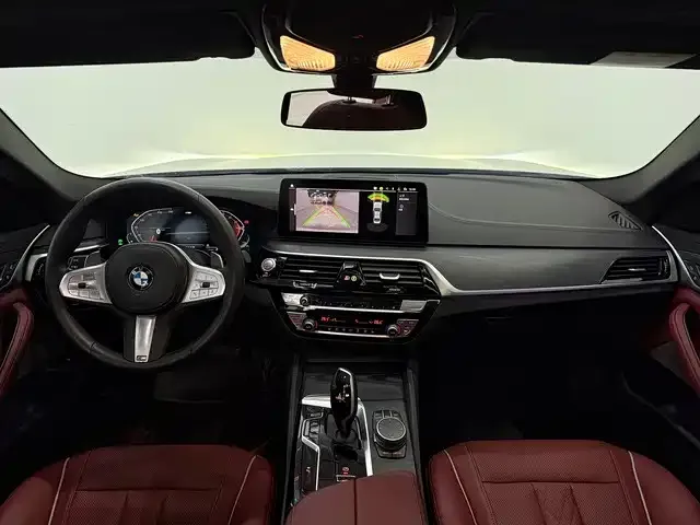 BMW 5 Series 2023 из CN, фото 10